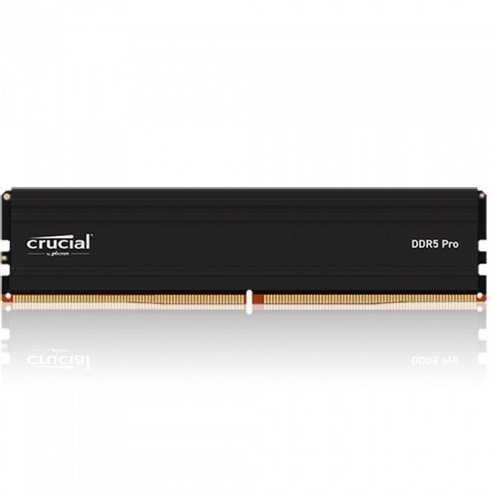 마이크론 Crucial DDR5-5600 CL46 PRO 아스크텍 (16GB), 1개