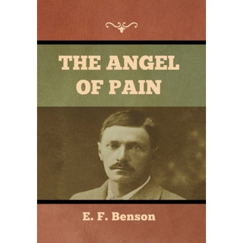 The Angel of Pain Hardcover, Bibliotech Press, English, 9781636373591