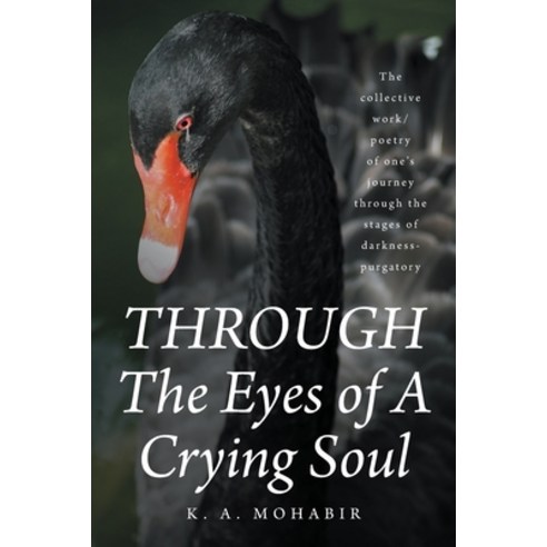 (영문도서) THROUGH The Eyes of A Crying Soul: The collective work/poetry of one''s journey through the st... Paperback, Fulton Books, English, 9781637105382