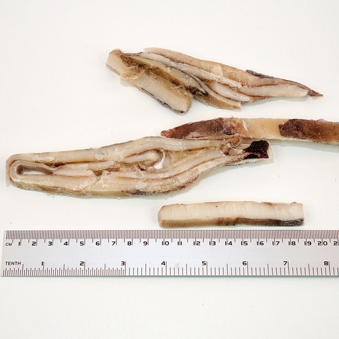 중식 막채 냉동 오징어채 4kg 1박스