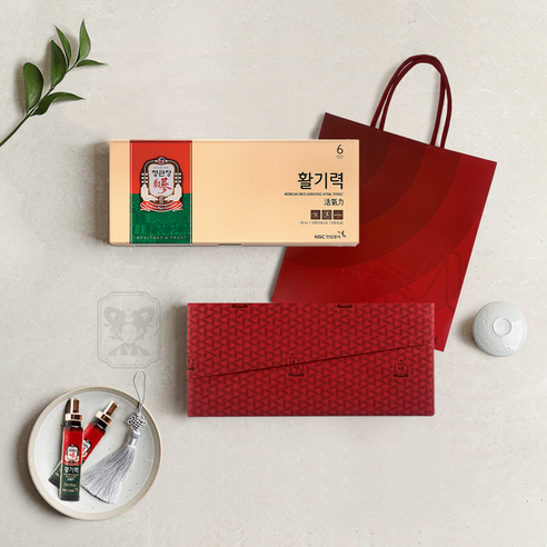 정관장 활기력 10병 정관장포장 쇼핑백증정 홍삼선물세트, 200ml, 1개