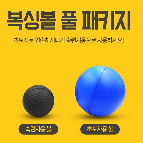 노스바이크 복싱볼 초보자용 + 숙련자용 세트: 궁극의 피트니스 도구