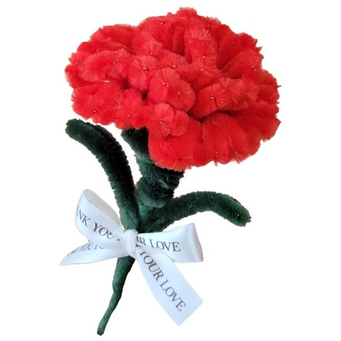 사랑과 감사를 수놓는 특별한 선물, 모루 인형 카네이션 브로치 만들기 모루카네이션