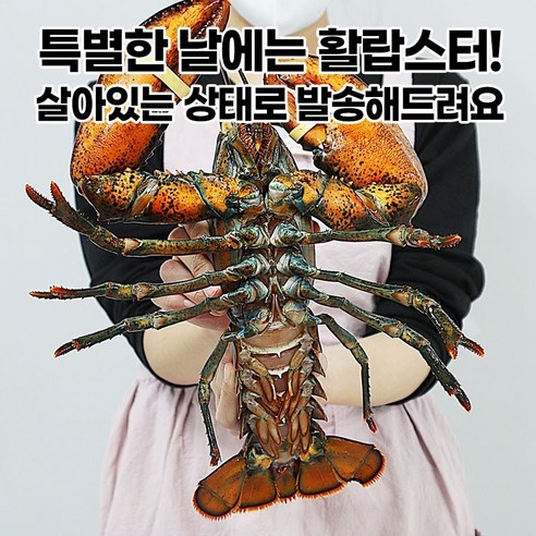 소중한 사람들에게 풍요와 기쁨을 선사하는 전복 랍스터 선물세트
