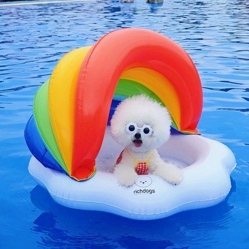 리치독스 강아지 물놀이 튜브 여름 수영 캐노피튜브, 혼합색상, 1개