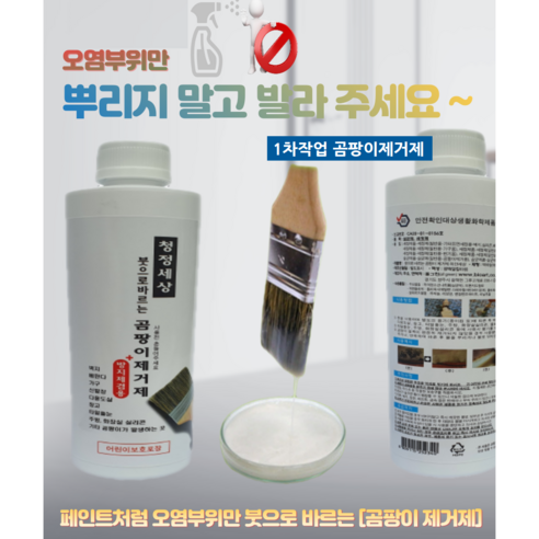 곰팡이 문제를 영구적으로 해결하는 신뢰할 수 있는 솔루션