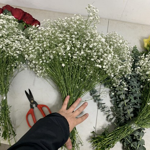 안개의 신비로움을 담은 생화
