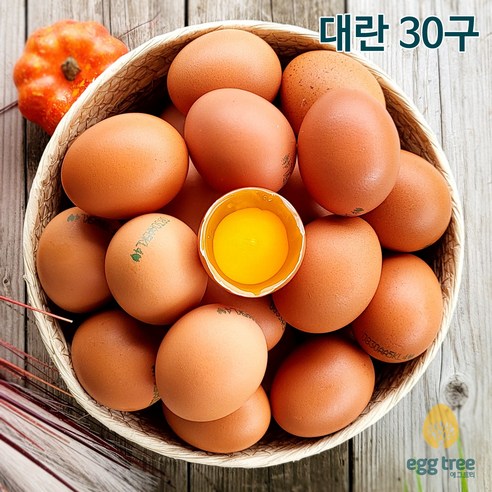 달걀막대 추천상품 달걀막대 가격비교