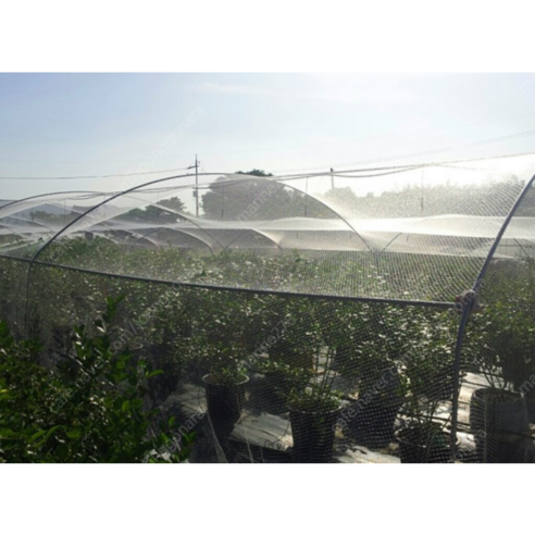 새 침해로부터 작물과 재산을 보호하는 국산 대형 방조 그물