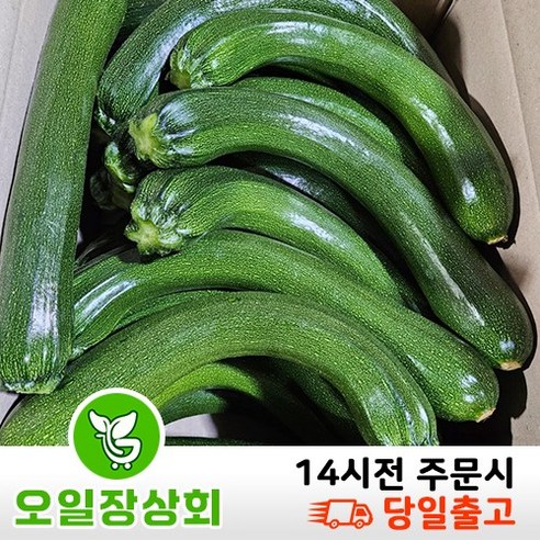  오일장상회  국내산 쥬키니호박 주키니호박 못난이호박 상등급 3kg 5kg 10kg내외, 1개, 상품10kg내외