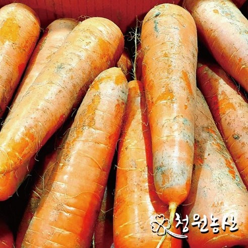 청원농산 국내산 햇당근 흙당근3kg 5kg 10kg, 10kg (특), 1개