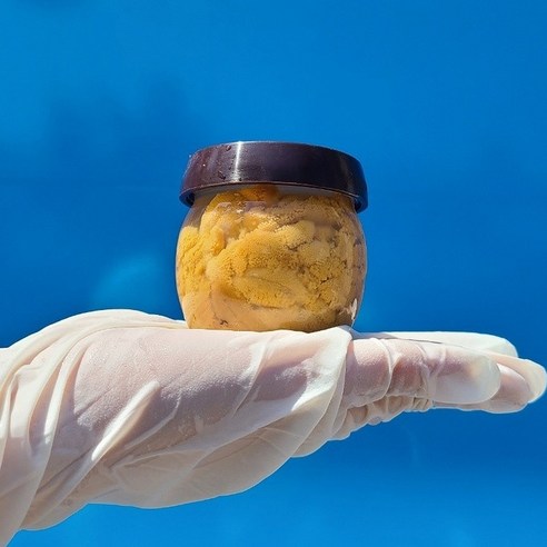 동해안 산지직송 보라성게 국산 성게알 2개 100g 11 바다의보물 자연산 성게알 100%, 성게알 200g, 2개