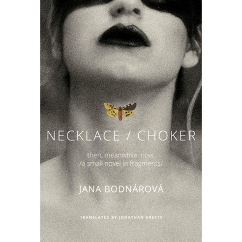 (영문도서) Necklace/Choker: Then Meanwhile Now./A Small Novel in Fragments Hardcover, Seagull Books, English, 9780857428905
