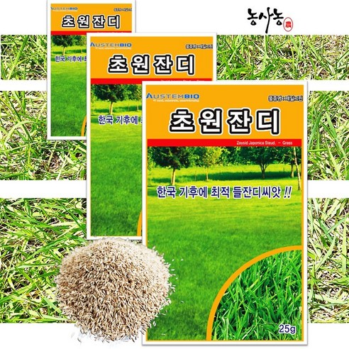 골프장 운동장 정원 75g (25g x 3봉 세트) 잔디씨 종자 잔디 씨앗