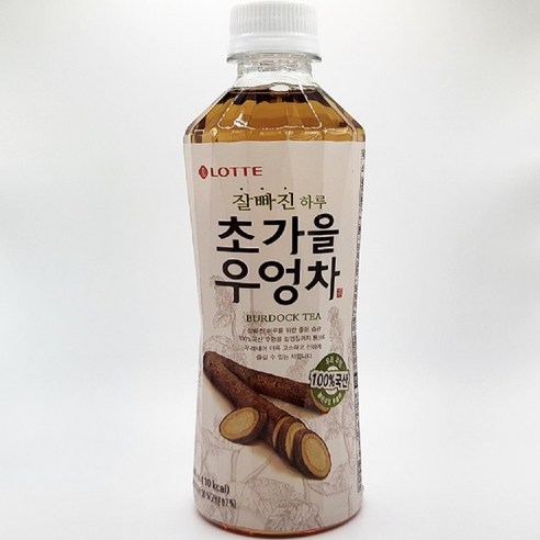 롯데칠성음료 잘빠진 하루 초가을 우엉차, 500ml, 24개