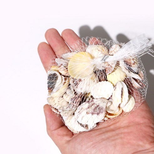 빌랑 천연 조개껍질로 당신의 창의성을 펼치세요