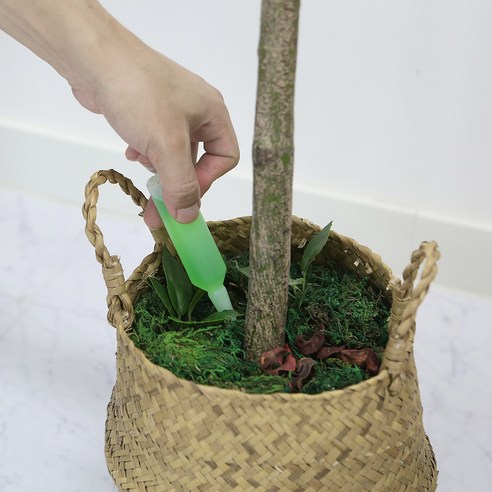 장가바이오 식물영양제로 반려식물에 생기를 불어넣으세요.