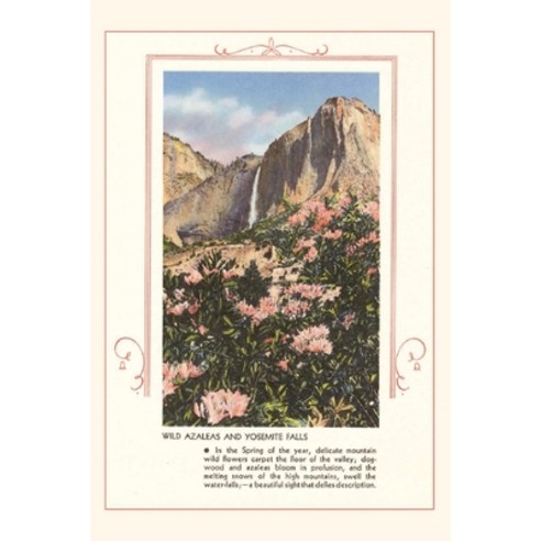 (영문도서) The Vintage Journal Wild Azaleas at Yosemite Paperback, Found Image Press, English, 9781648116025