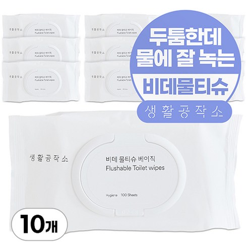 생활공작소 비데물티슈 베이직 캡형, 100매, 10개