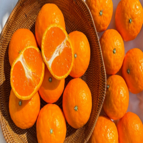 바농프레시 새콤달콤 제주 카라향 귤, 2kg