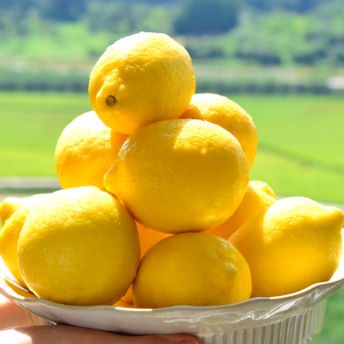 [햇살가득농장] 상큼달달한 팬시레몬 소과, 3.0kg (30과), 1박스