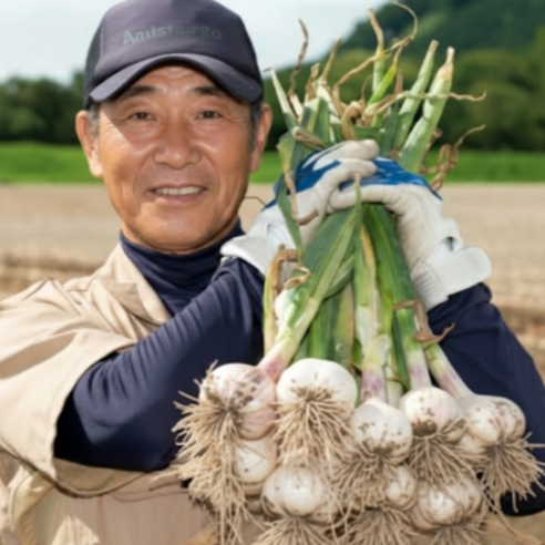 국산 의성 통마늘 저장마늘 토종