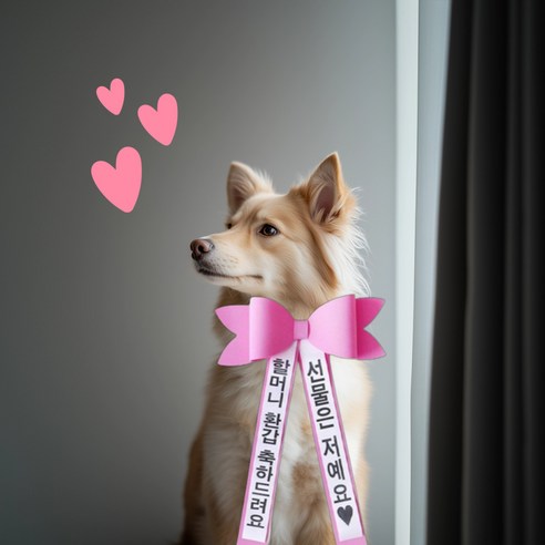 리본 인간 화환 에바폼 결혼 아기 강아지 화동 축하 화한 [3종 졸업식 결혼식 졸업 사람 남편 생일 생신 화환띠 시즌3], 레드
