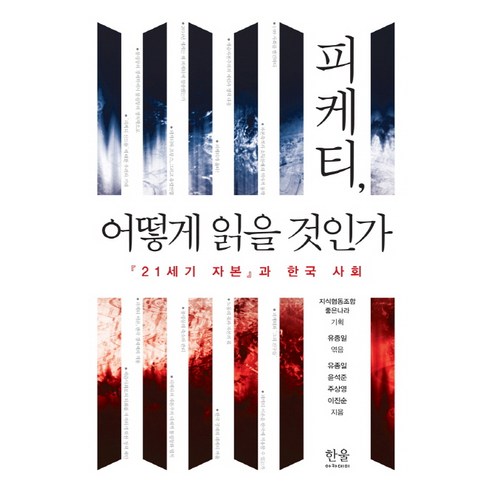 피케티 어떻게 읽을 것인가:21세기 자본과 한국 사회, 한울