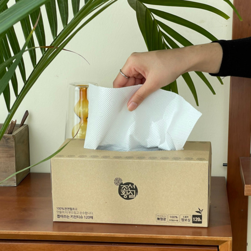 친환경 황실 감성을 지닌 120매 뽑아쓰는 키친타올