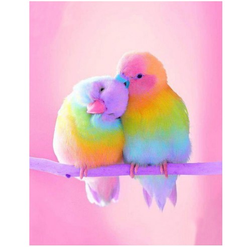 세진 DIY 보석십자수 3D 72가지 신제품 새로운 취미생활 보석 십자수 보석십자수, 무지개 앵무새, 1개