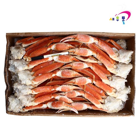 최상의 맛과 가치를 제공하는 새우몰 대게 스노우크랩