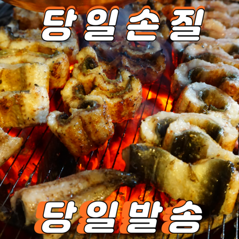 산지직송 통영장어 자연산 바다장어특대 최상품 손질 장어 활력 바다장어 비법소스포함 - 장어 | 쿠팡