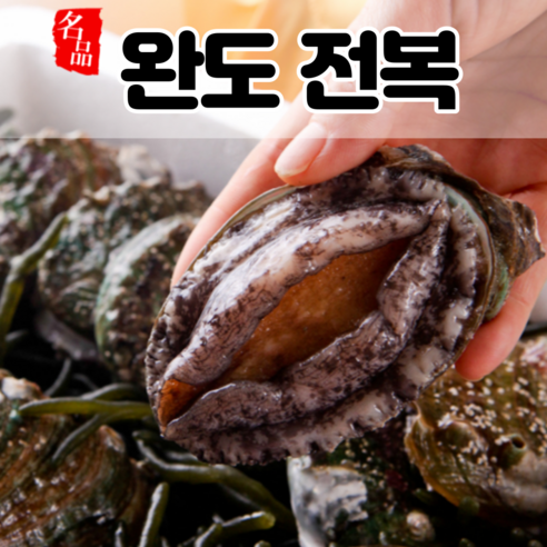 완도 전복 활전복 꼬마전복 전복선물세트 설선물세트 산지직송 1kg 6미 8미 10미 20미 30미 40미 50미