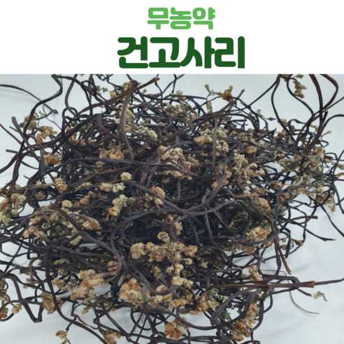 국산 햇 고사리 100g 건고사리 백령도산 무농약, 1개