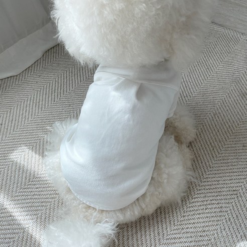 伴侶  寵物產品  小狗  貓  組合使用  服裝  T卹  狗  狗  狗