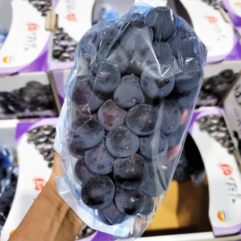 [당일발송 당일선별] 특등급 고당도 거봉 포도, 1개, 2kg 5-7송이