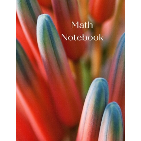 Math Notebook: 120 pages math notebook quad ruled workbook 8.5 x 11 ...