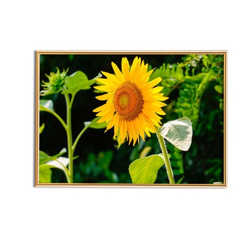 목가적 인 풍경화 해바라기 사진 프레임 인테리어 장식 그림 침실 식물 사진 금속 프레임 포스터 그림, 21X29.7CM, K008