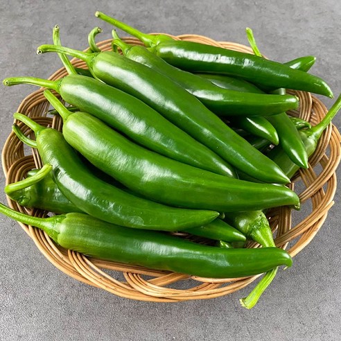 국내산 오이맛고추 10kg 5kg 2kg 1kg내외 오이고추 상품 특품, 10kg 못난이 상, 1개