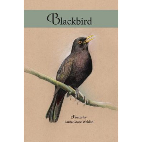 (영문도서) Blackbird: poems Paperback, Grayson Books, English, 9780999432761