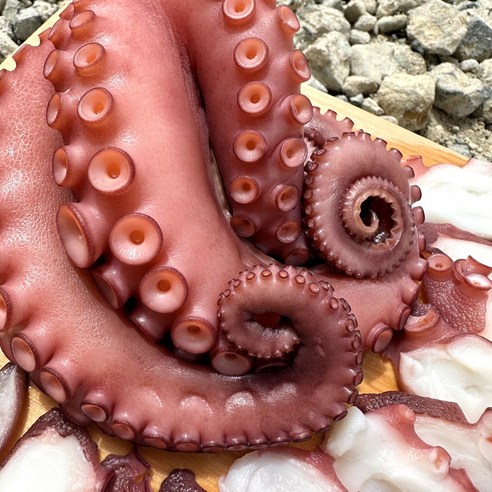 손질 자숙문어 300 & 1kg 돌문어 진공 제수용 문어 1미, 자숙문어 1팩 (300g 내외), 1개