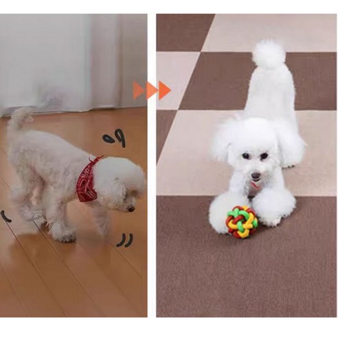 댕냥이 슬개골 지킴이, 미끄럼 방지 카페트 타일로 안전하고 쾌적한 공간을!