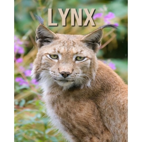 Lynx: Amazing Photos Book About Lynx For Kids Paperback, Independently Published