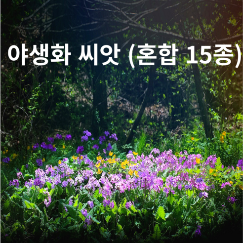 야생화 씨앗 혼합종자15종모음 (100g) 봄부터 가을까지 매년 아름다운 경관 연출, 1개