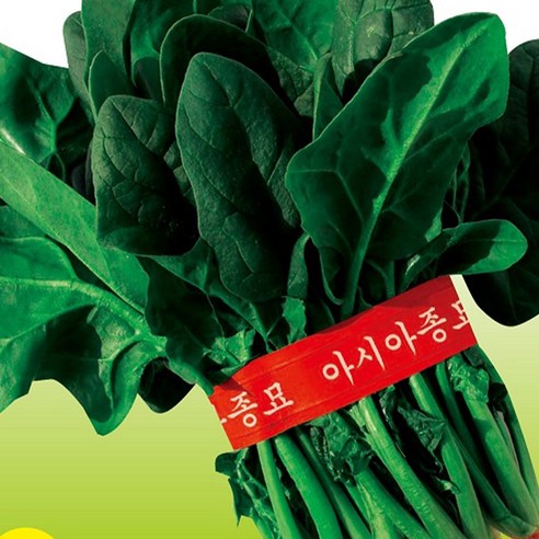 아시아동초 시금치 씨앗 400g 월동시금치씨 토종 섬초 종자, 1개