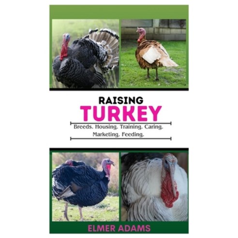 (영문도서) Raising Turkeys: Breads Housing Training Caring Marketing Feeding Paperback, Independently Published, English, 9798850422110