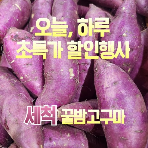 산지직송 24년 햇 황토 꿀밤고구마, 1개, 2kg 한입 (소)