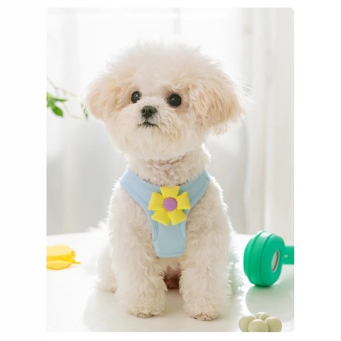 헤마 리빙 강아지 꽃 하네스 리드줄 세트 소형견 산책용, 1세트, 블루