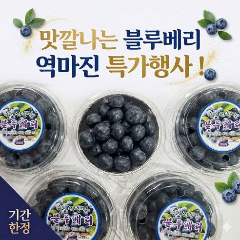 노마진 특가 수입 블루베리 고당도 14~16mm 중대과 대용량 당일출고, 1개, 10팩
