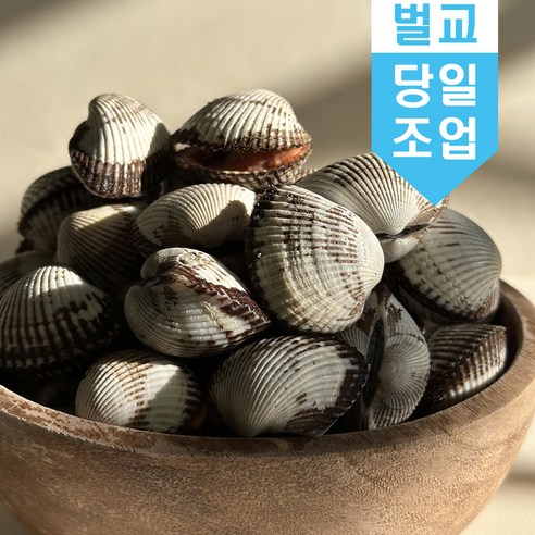 신선한 바다의 맛을 집에서 직접 즐기는 벌교 새꼬막